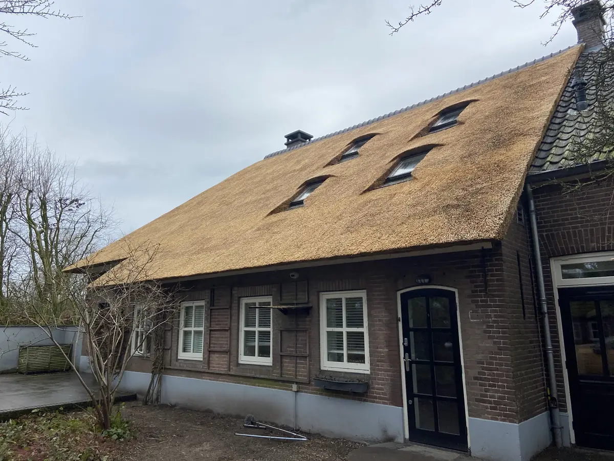 Boerderij met nieuw rieten dak en dakramen