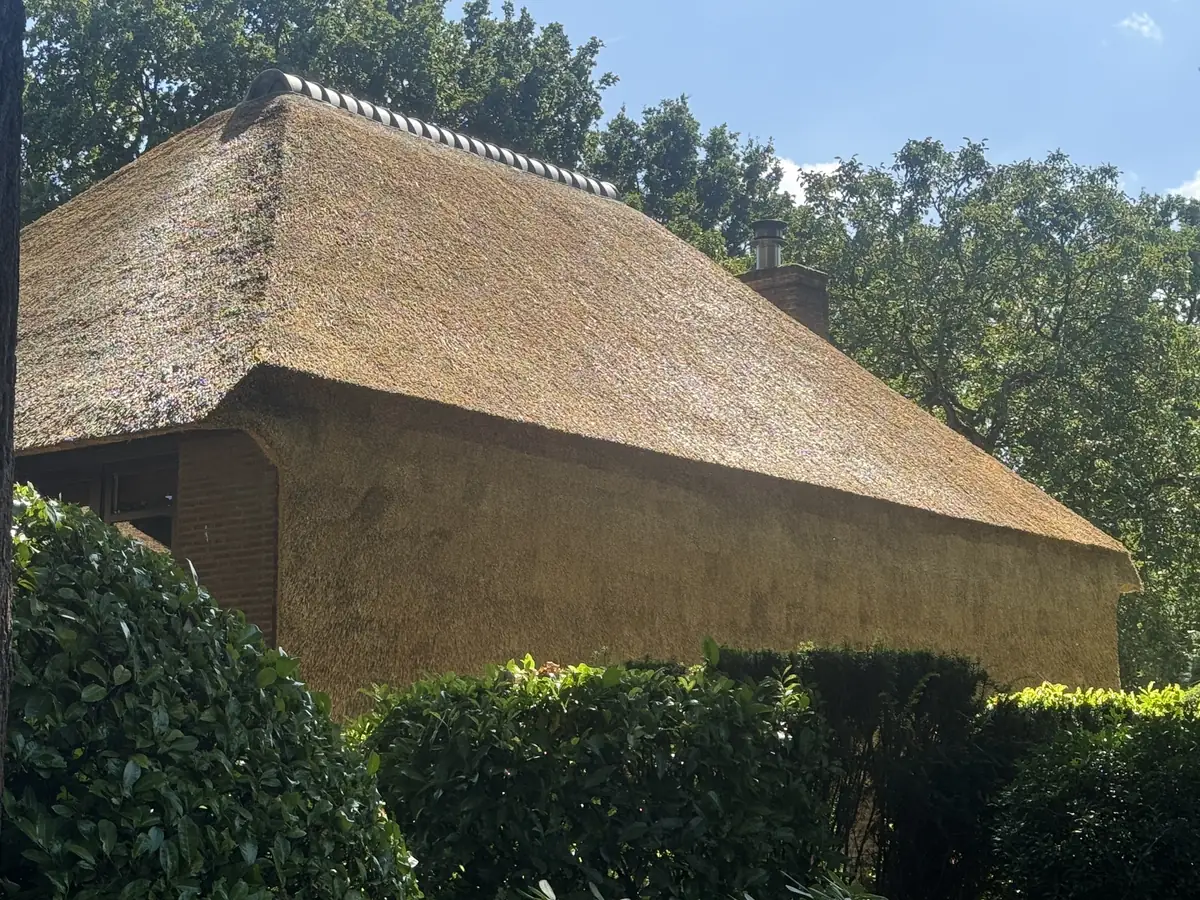 Nieuw rieten dak met doorlopende rieten gevelbekleding