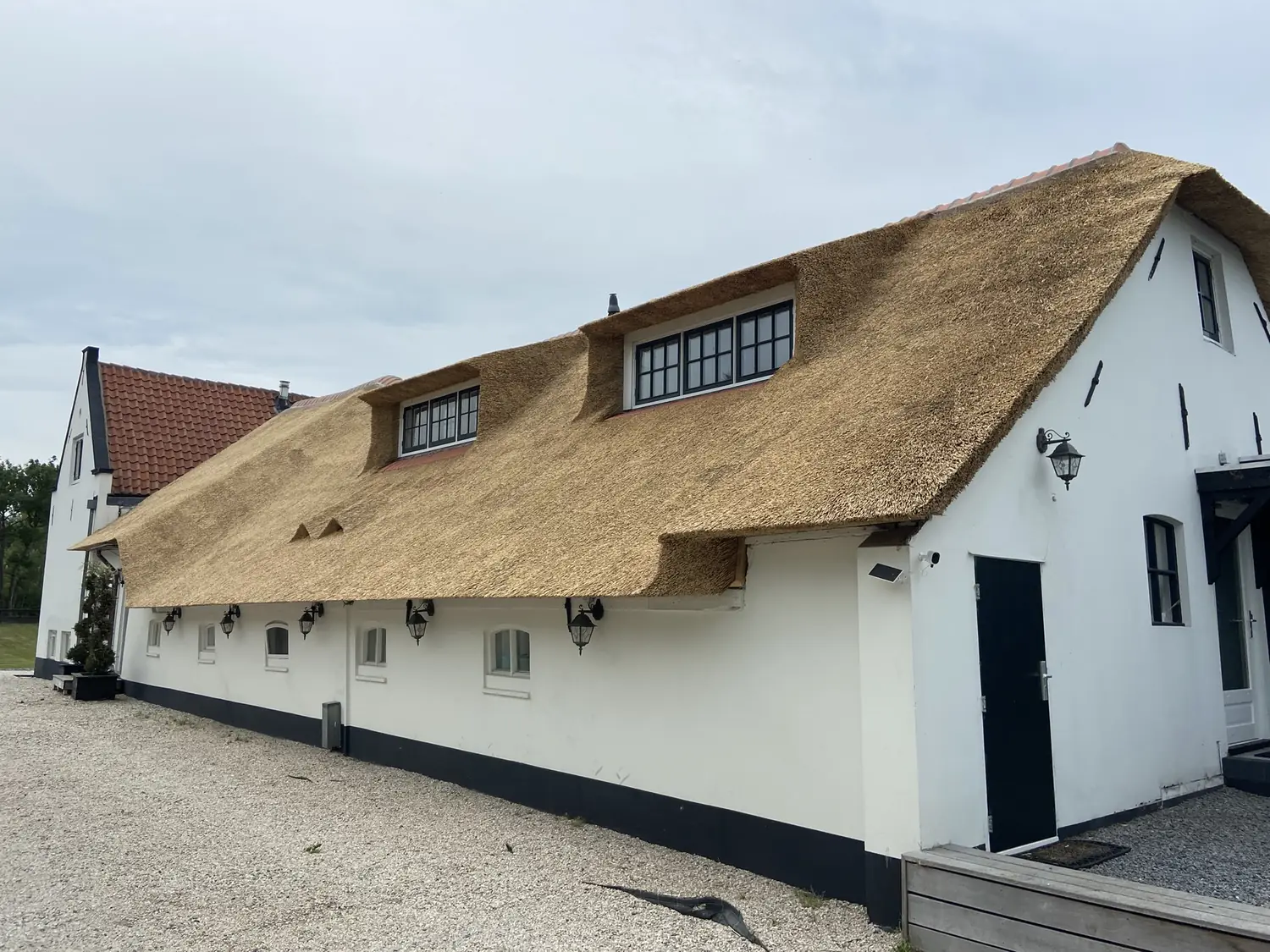 Langgevelboerderij met een nieuw aangebracht rieten dak